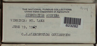Image Associated With the Occurence